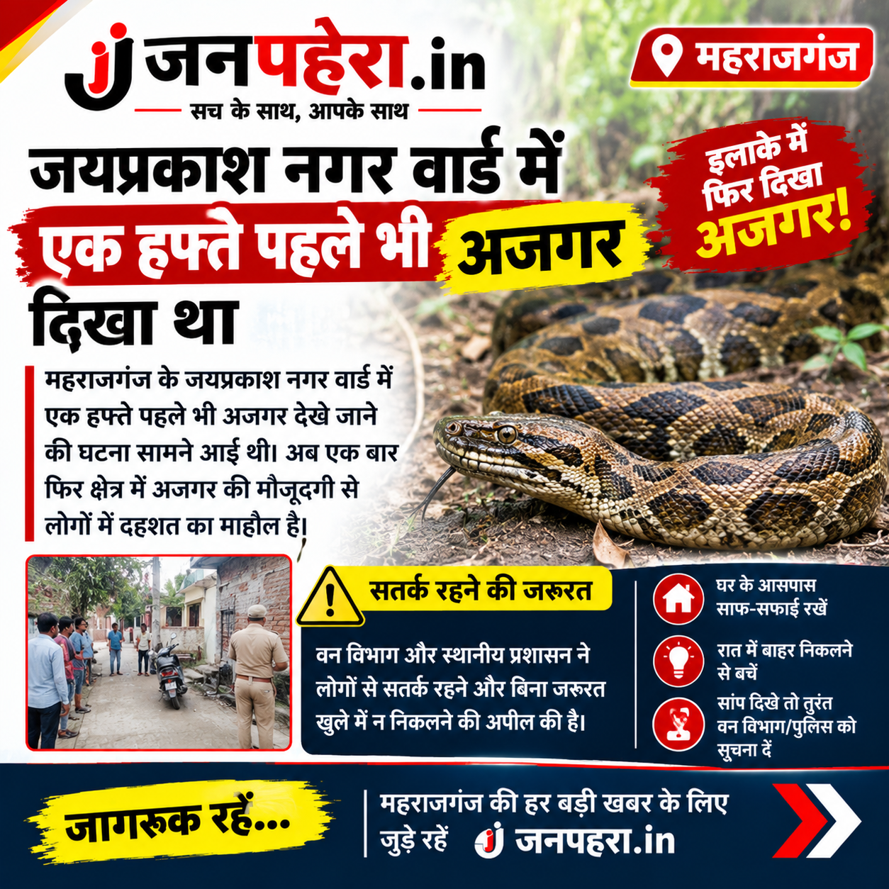 🐍 महराजगंज: जयप्रकाश नगर वार्ड में फिर दिखा अजगर, एक सप्ताह पहले भी सामने आई थी ऐसी घटना 🐍 महराजगंज: जयप्रकाश नगर वार्ड में फिर दिखा अजगर, एक सप्ताह पहले भी सामने आई थी ऐसी घटना